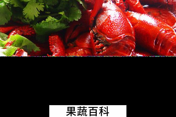 果蔬百科吃小龙虾要注意什么