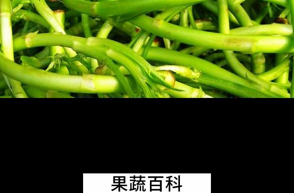 果蔬百科蒌蒿的功效与作用