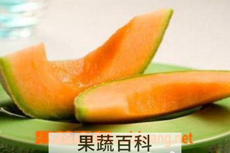 果蔬百科哈密瓜