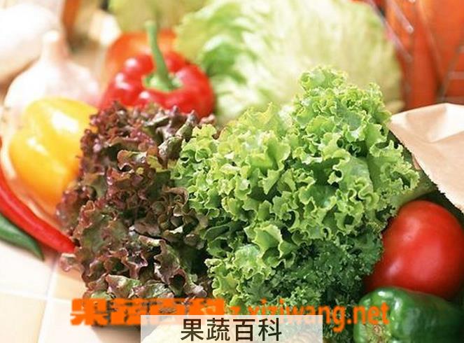 果蔬百科生吃哪些食物能治感冒