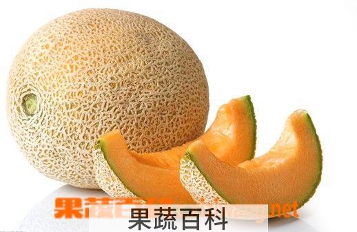 果蔬百科哈密瓜
