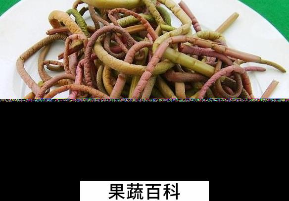 果蔬百科微菜的功效与作用