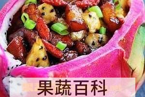 果蔬百科火龙果香醋肉