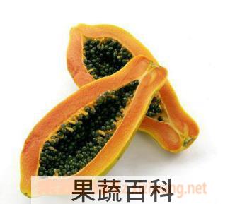 果蔬百科木瓜