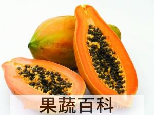 果蔬百科木瓜