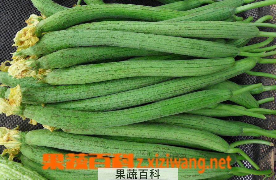 果蔬百科丝瓜的功效与作用