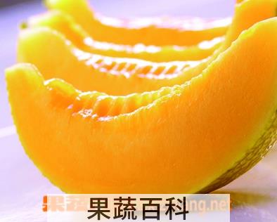 果蔬百科哈蜜瓜