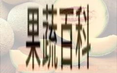 甘肃黄河密瓜在哪里产 甘肃黄河蜜瓜几月成熟
