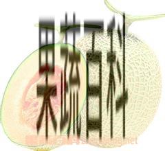 果蔬百科哈密瓜