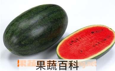 果蔬百科黑美人瓜