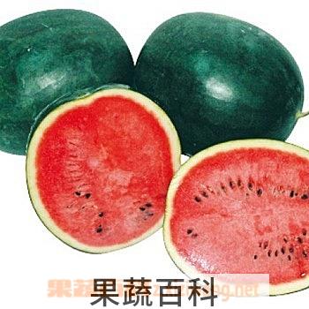 果蔬百科美人瓜