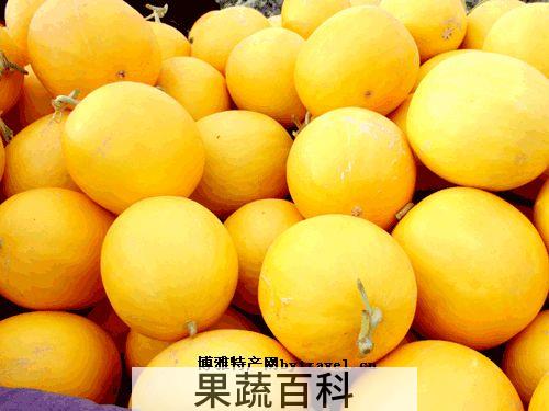 果蔬百科黄河蜜瓜的营养