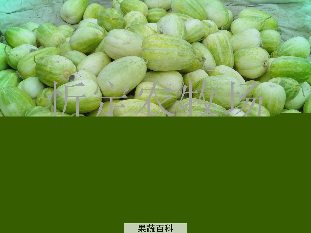 果蔬百科怎样挑选甜瓜