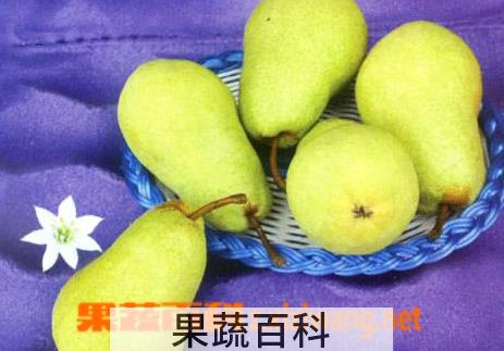 果蔬百科梨