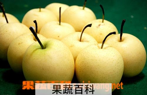 果蔬百科梨