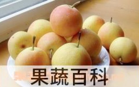 梨的功效和营养价值与作用 梨的功效和营养价值是什么