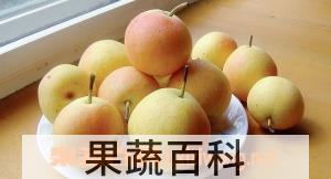 果蔬百科梨