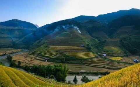 中甘系列甘蓝品种 中甘21甘蓝种植技术