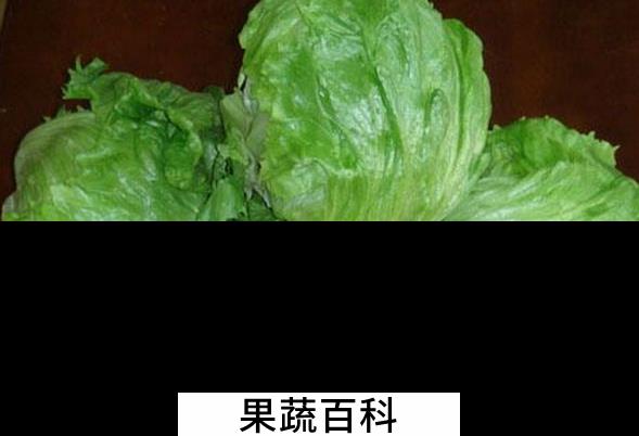 果蔬百科生菜球的功效与作用