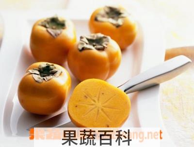 果蔬百科柿子