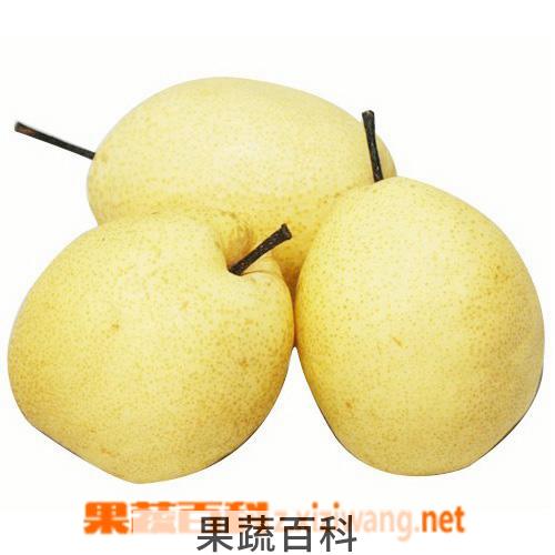 果蔬百科