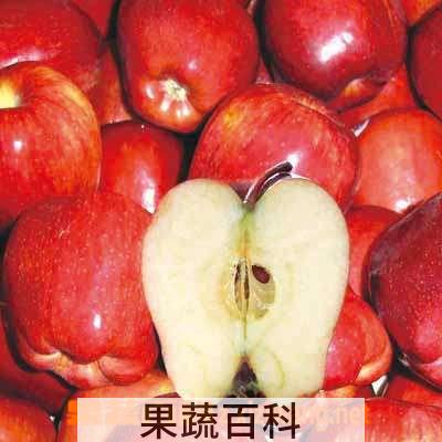 果蔬百科蛇果