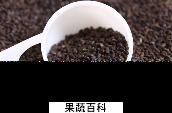 果蔬百科明列子的功效与作用
