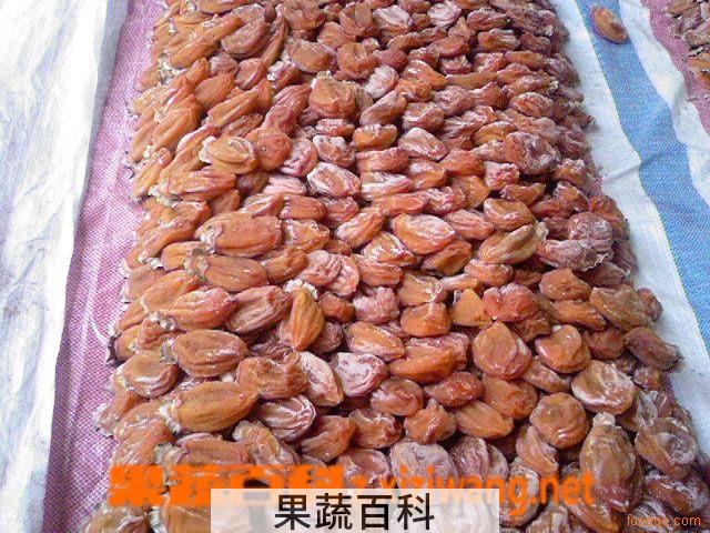 果蔬百科柿子饼