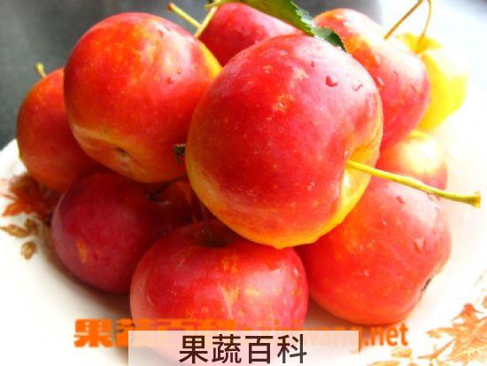 果蔬百科沙果