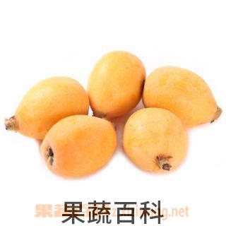 果蔬百科枇杷