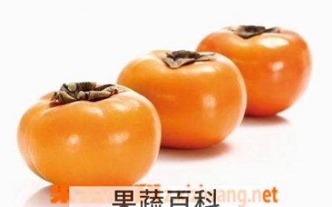 柿子和什么食物相克 与柿子相克的食物 柿子与什么相克食物大全