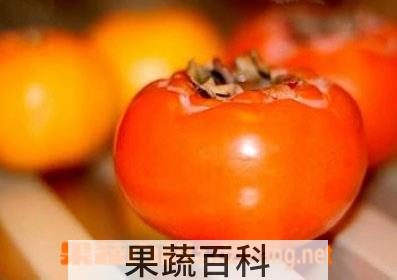 果蔬百科柿子