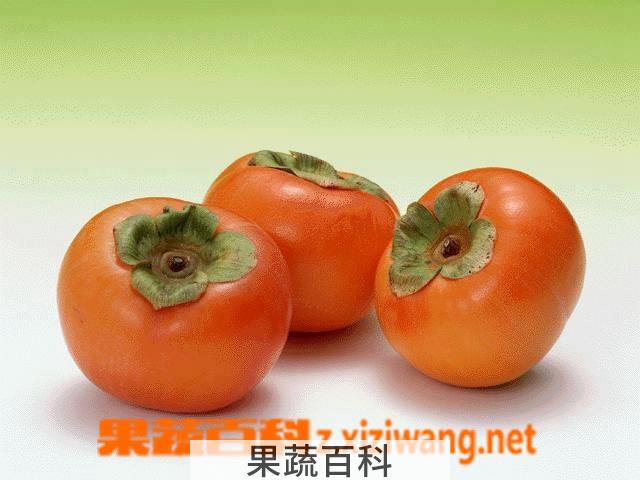 果蔬百科柿子