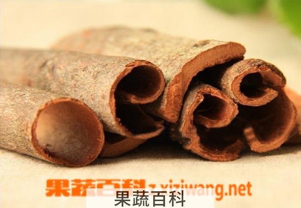 果蔬百科肉桂的功效与作用及禁忌 肉桂怎么吃