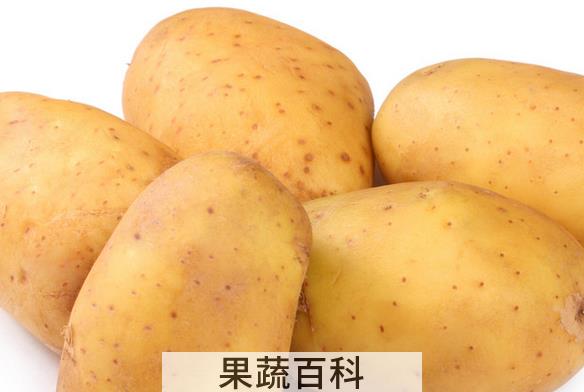 果蔬百科吃土豆的好处有哪些