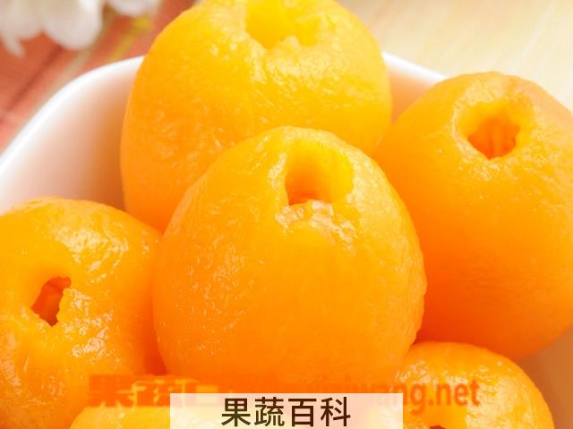果蔬百科糖水枇杷罐头