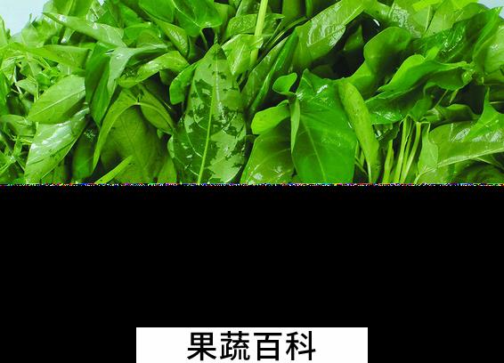 果蔬百科竹叶菜的功效与作用