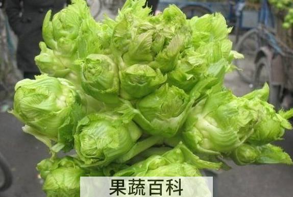 果蔬百科抱子芥的功效与作用