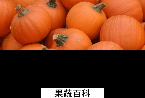 果蔬百科南瓜的营养价值与功效
