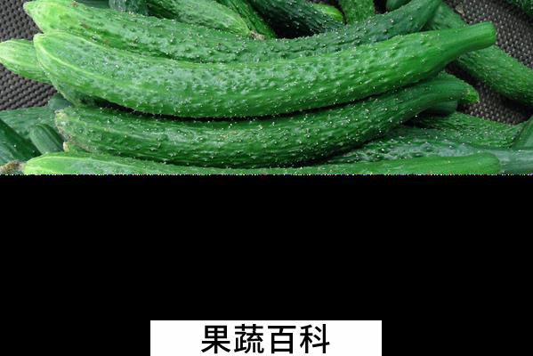 果蔬百科适合生吃的蔬菜有哪些