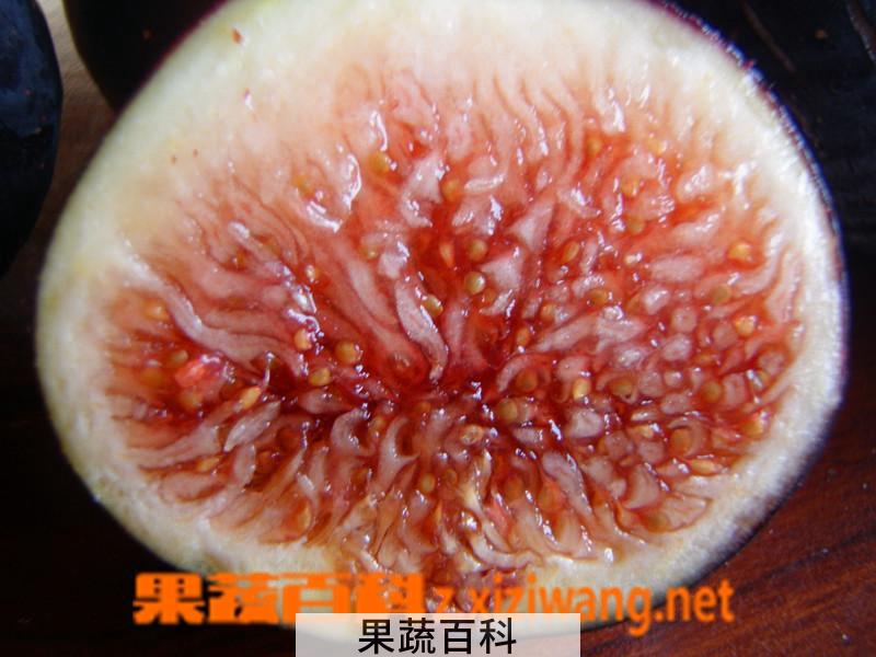 果蔬百科无花果