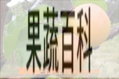 果蔬百科黄杏