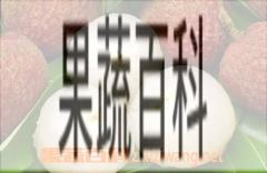 果蔬百科荔枝和腰果