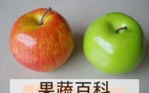 苹果的营养价值及功效与禁忌百度百科 苹果的营养价值和功效与作用
