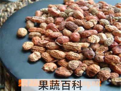 果蔬百科红豆蔻的功效与作用