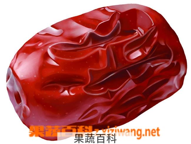 果蔬百科大枣