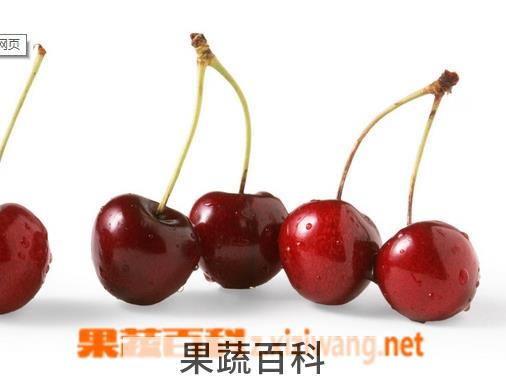 果蔬百科樱桃