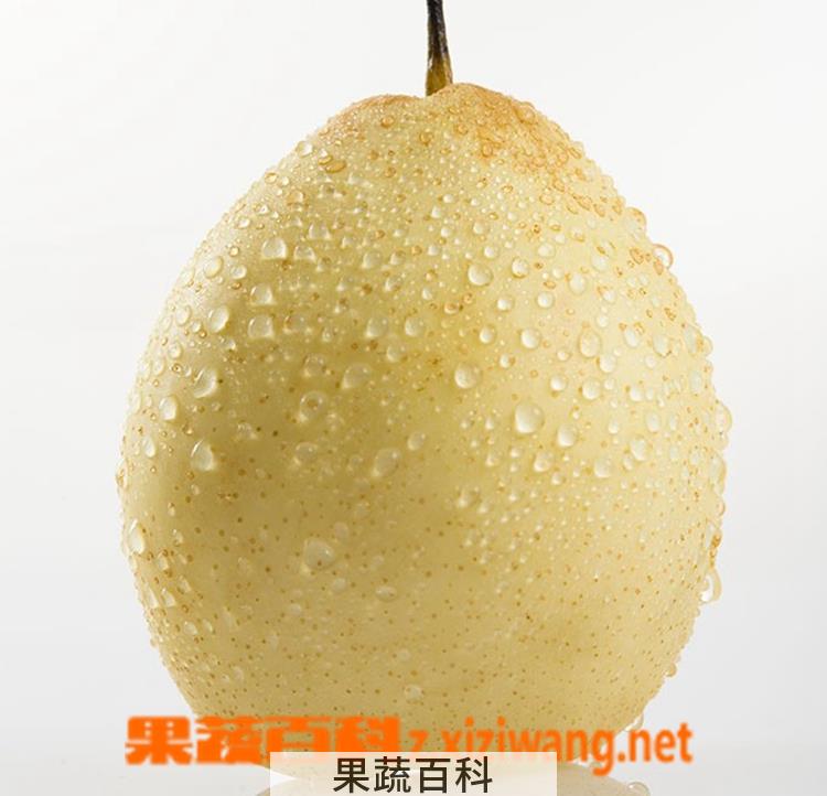 果蔬百科梨