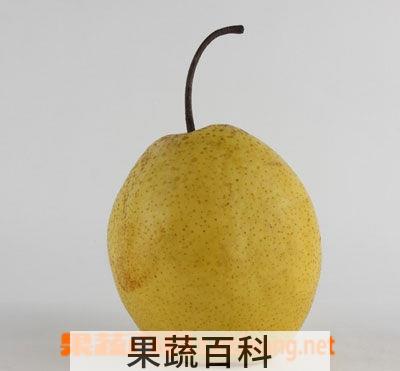 果蔬百科梨