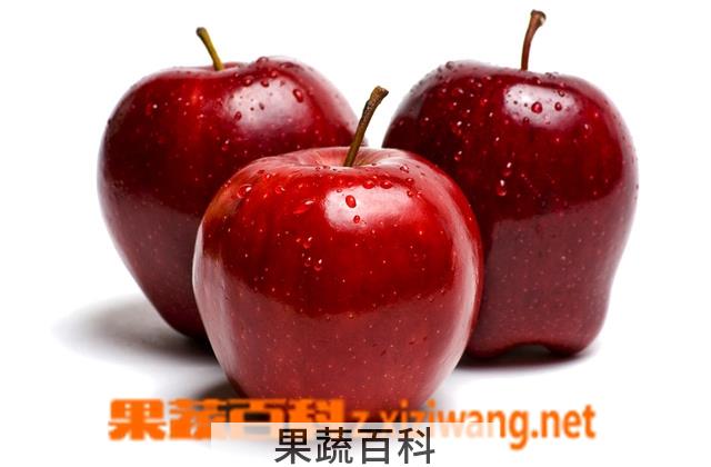 果蔬百科蛇果